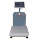 Tess RP Sayıcı Tartım Baskülü 50 X 60 - 300 Kg Tess RP Sayıcı Tartım Baskülü 50 X 60 - 300 Kg