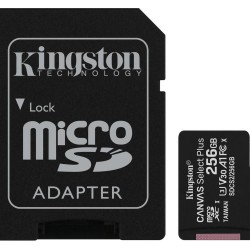 256 GB KINGSTON CANVAS SELECT MICRO SDHC UHS-I 100MB/S (SDCS2/256GB)