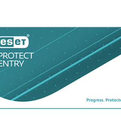 ESET® PROTECT Entry 1 YIL 11 KULLANICI