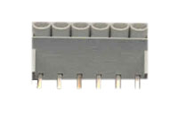 Intracom IC-ITBGSW 06