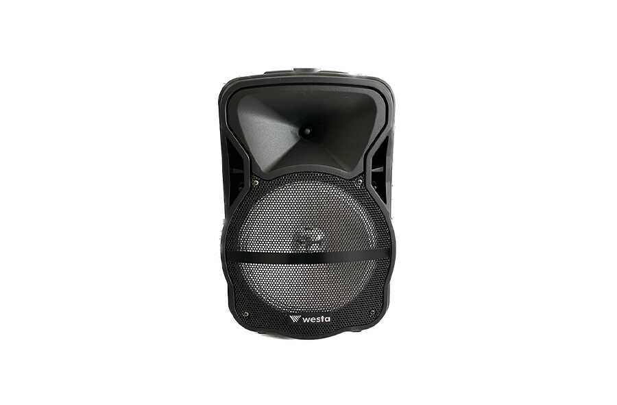 WESTA WAP-1053E 10" 150W 2 Yollu Şarjlı Aktif Kabin Hoparlör Bluetooth Mikrofonl - görsel 2