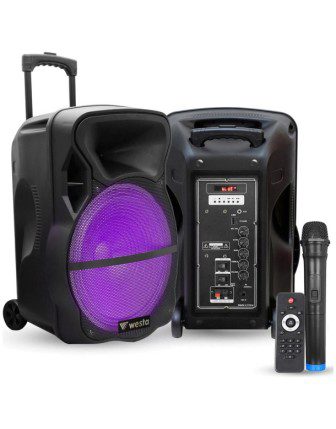 WESTA WAP-1053E 10" 150W 2 Yollu Şarjlı Aktif Kabin Hoparlör Bluetooth Mikrofonl