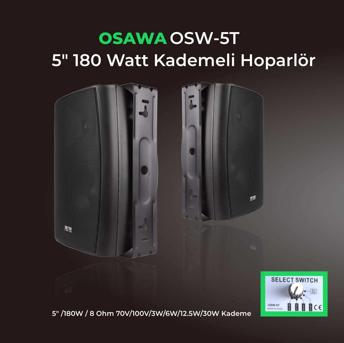 OSAWA OSW-5T 5" 180W 100V Trafolu Duvar Tipi Sütun Hoparlör Siyah - görsel 3
