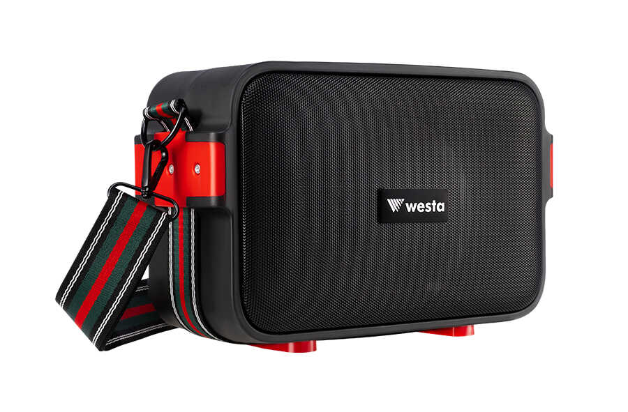 WESTA WAP-500H 5.25" 40W 2 Yollu Şarjlı Aktif Kabin Hoparlör 1 El Mikrofonlu - görsel 2