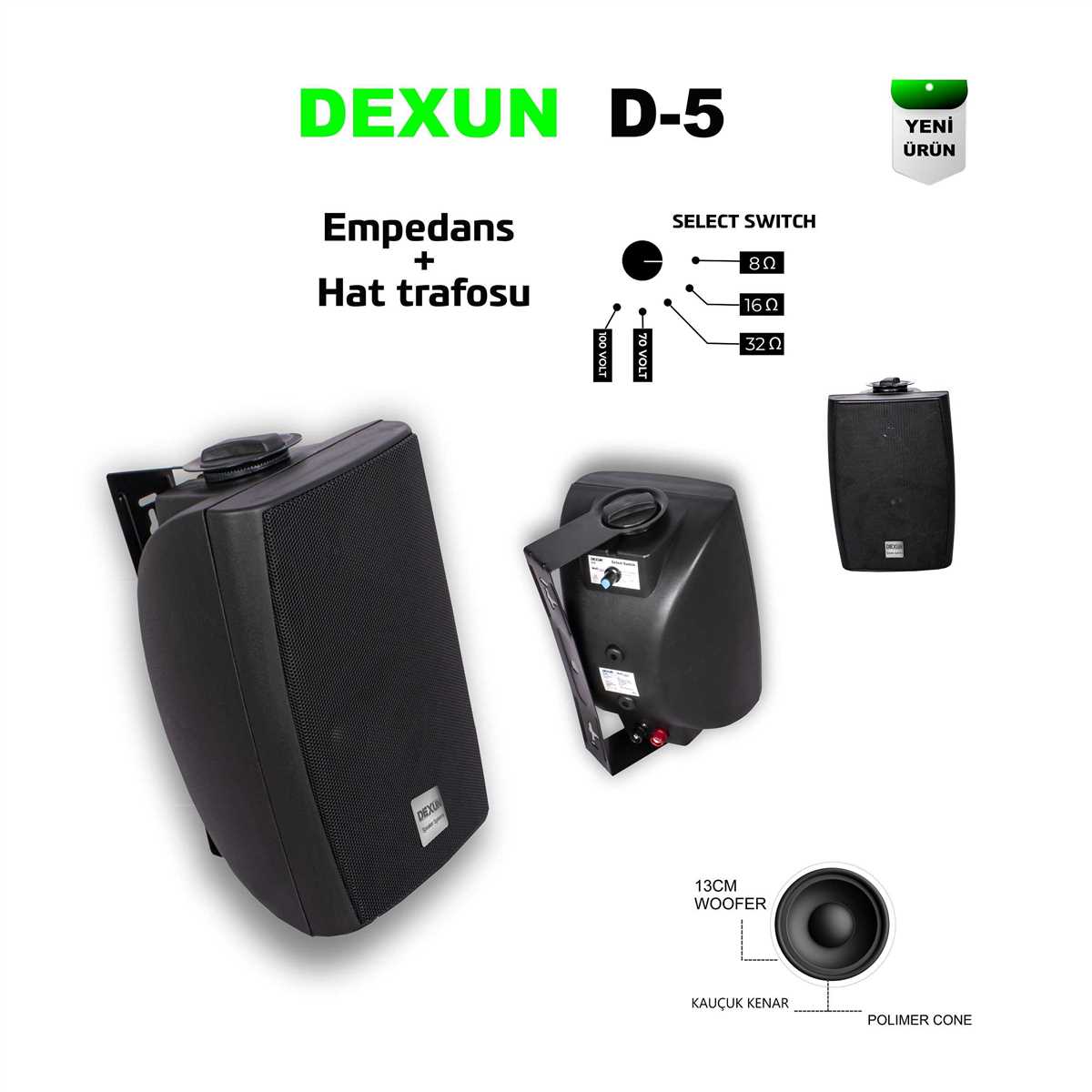 DEXUN D-5T 5" 70/100V Hat Trafolu Siyah Sütun Hoparlörü