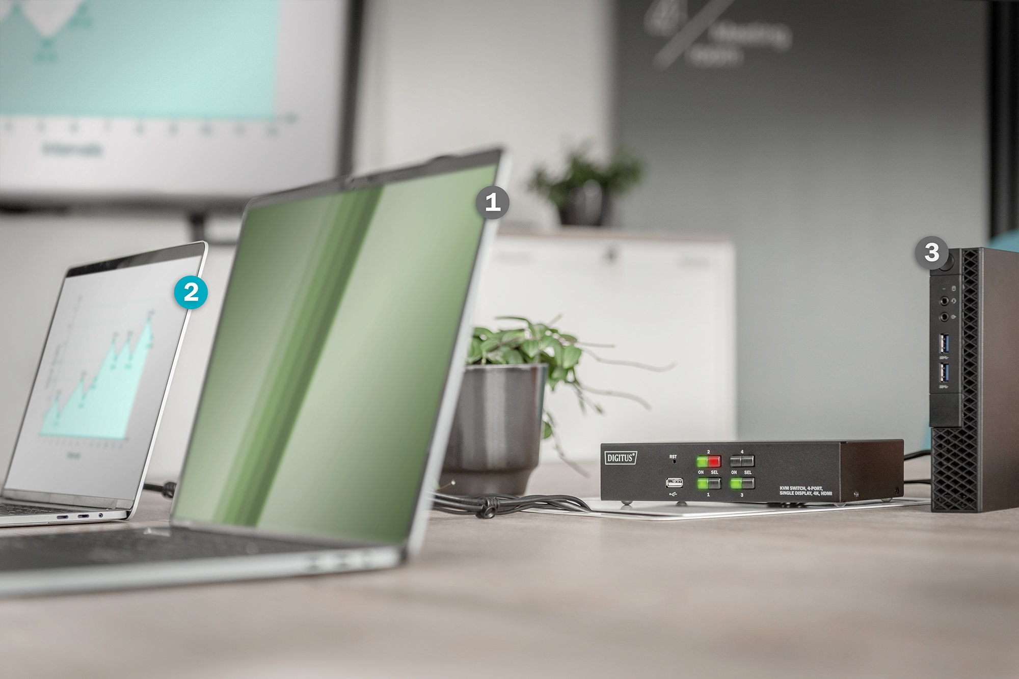 Digitus DS-12880 KVM Periferi Switch - görsel 4